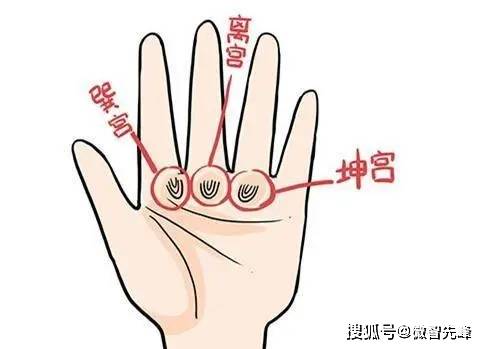 震宫,位于大拇指和食指之间,也就是人们常说的虎口,代表家庭和身体