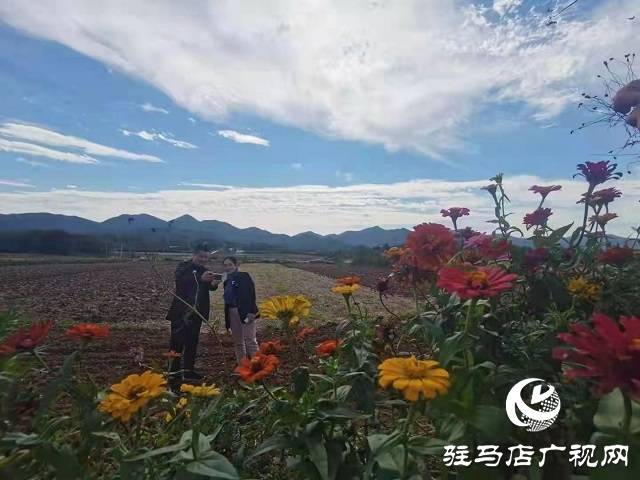 驻马店市驿城区蚁蜂镇:山青水秀美如画_河南省