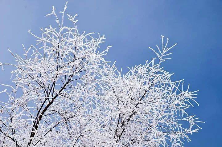 芭乐兔丨素装银裹大雪天孩子要注意什么