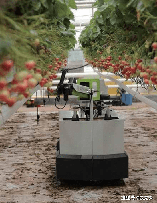 未来农业智能化机器人当家