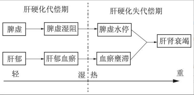 肝硬化进入失代偿期,是不是离肝癌不远了?还能治疗吗?