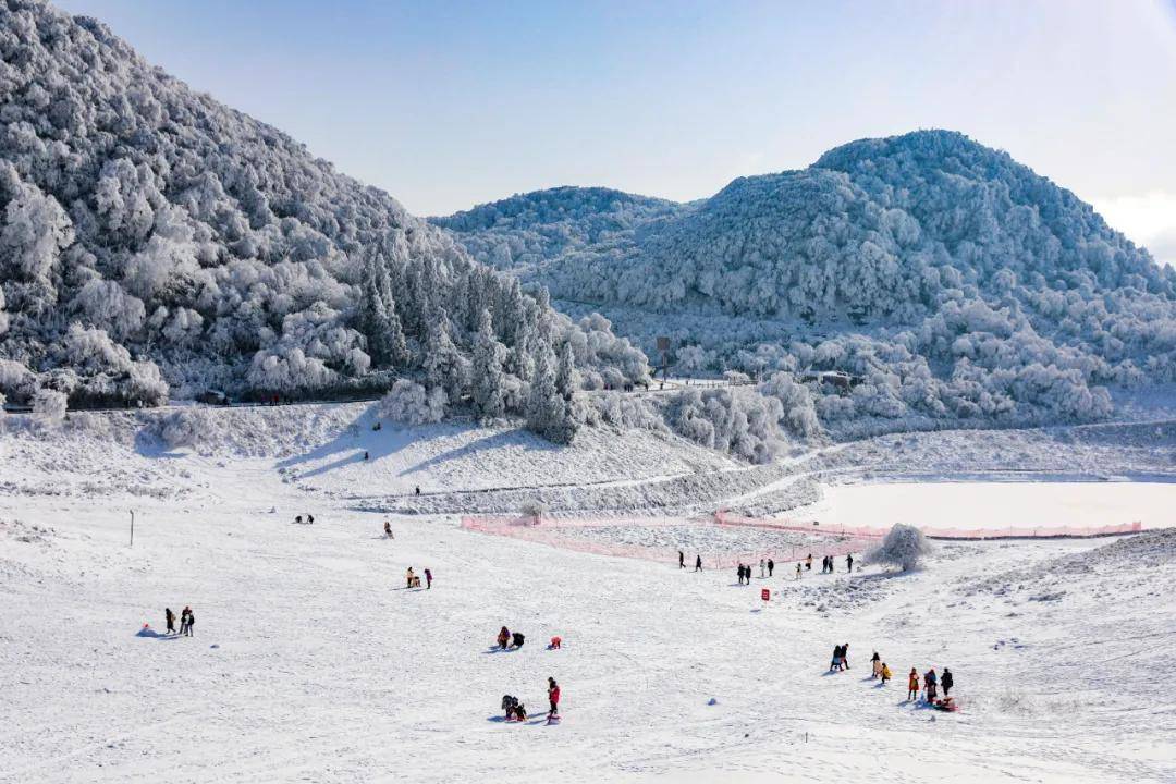 金佛山冰雪季即将启幕!这个冬天超精彩_滑雪