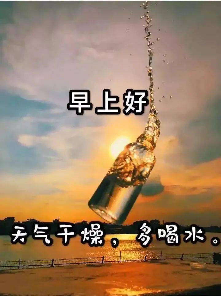 原创11月26日非常绝美的美女早安问候表情图片早上好发朋友圈动态祝福