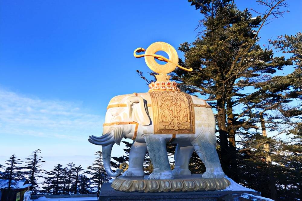 在登上峨眉金顶前,需要经过一道台阶,在台阶的两侧就是一排排六牙白象