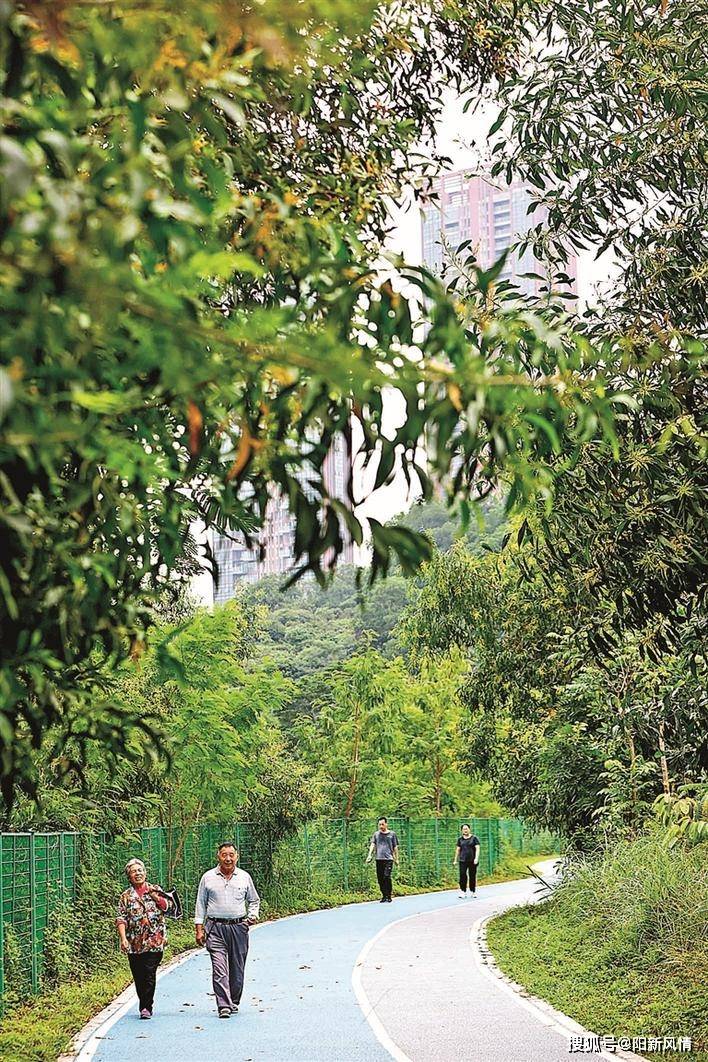 市民在横坑人才绿道散步,一路欣赏横坑水库美景