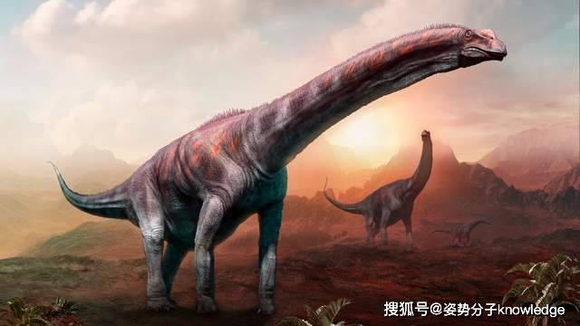 有人认为,或许是蜥脚类恐龙的大部分体重都集中于身体的前半部分