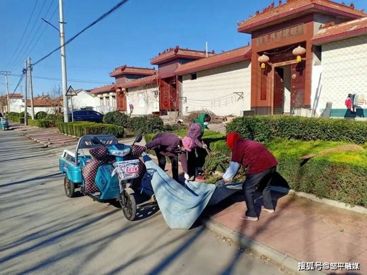 滨州邹平市明集镇:加强初冬环境整治 建设美丽宜居乡村