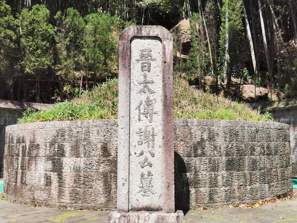 历史上真正的江左梅郎,出身名门智勇双全,一生比梅长苏还要传奇_谢安