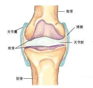 3,跟肌腱韧带筋膜的位置变动有关