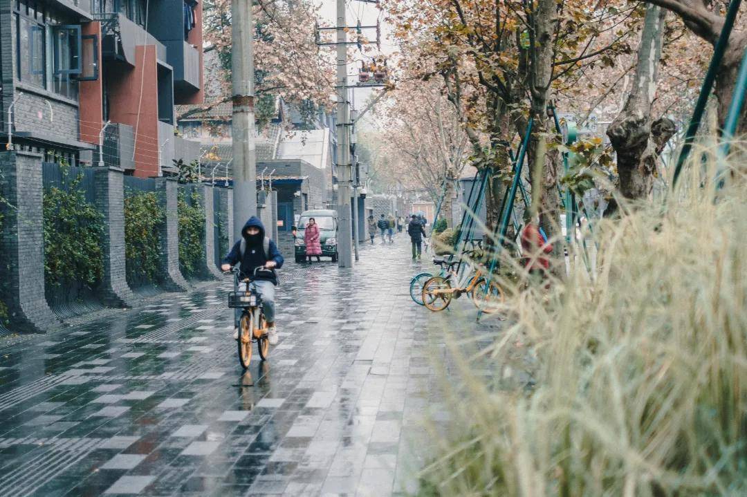 传说中的最美街道,原来长这个样_大学_华西_武侯区