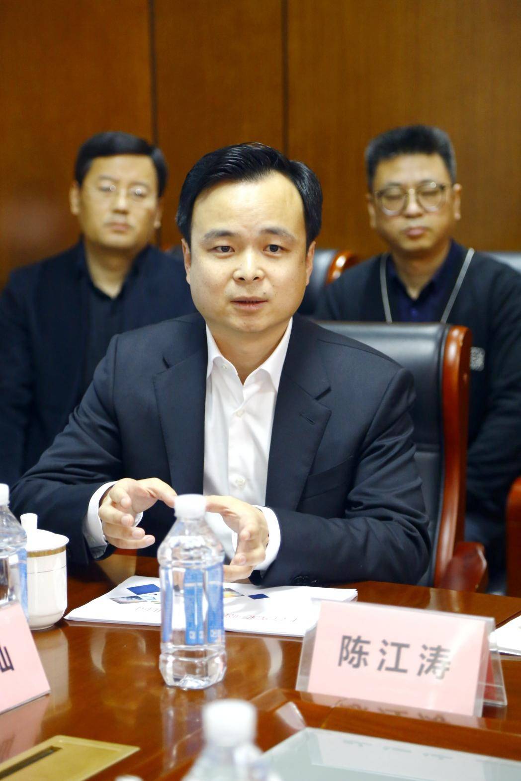 光彩国际投资集团总裁任伟,中国光彩事业国际投资集团执行总裁,光彩