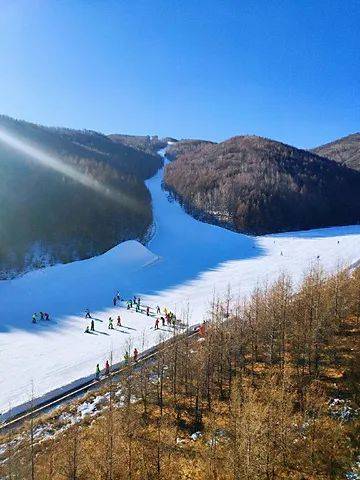 内蒙哪家滑雪场好被誉为东方雪源圣地的美林谷滑雪场怎么样