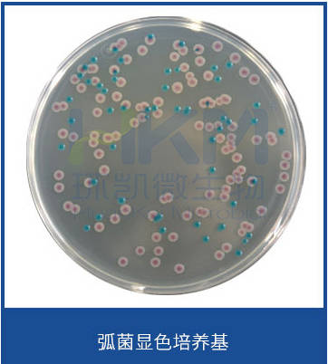 食品微生物检验副溶血性弧菌检验常用培养基原理解析