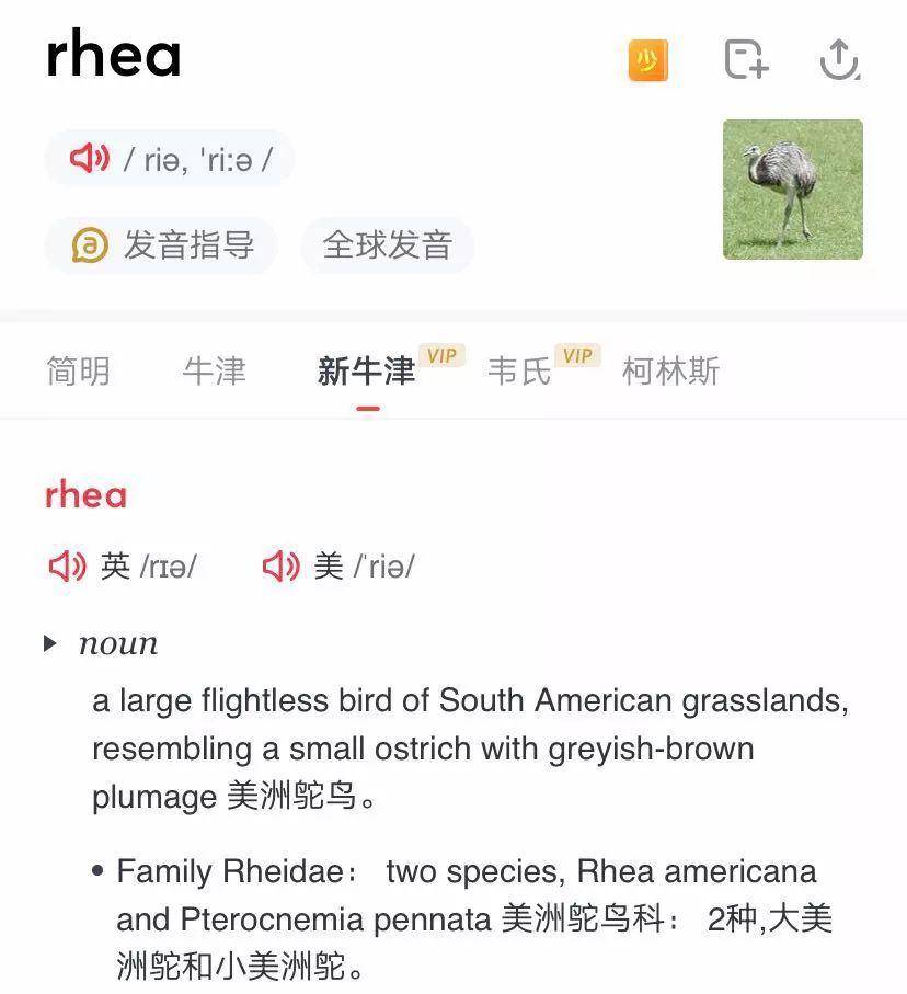 图源:cartoonstock图源:youtube图源:youtube图源:the candy perfume