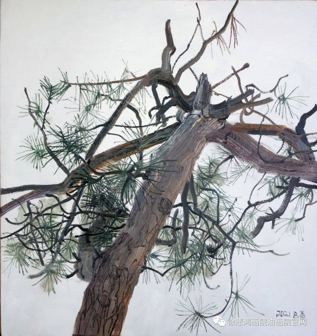 庆祝中国徐悲鸿画院成立30周年美术作品欣赏_cmx_陈远华_油画