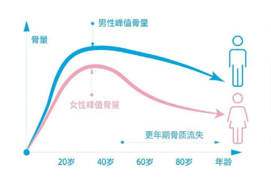 持续增加骨密度在35岁左右时可以达到人体的骨峰值,之后骨量开始下降