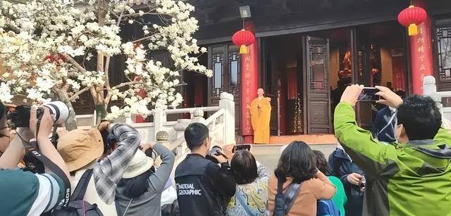 原创127万人围观南京灵谷寺门面担当持善法师火了