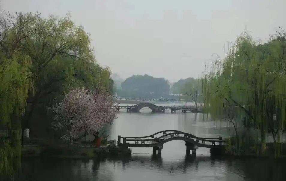 冯平安杏花春雨江南中原作家