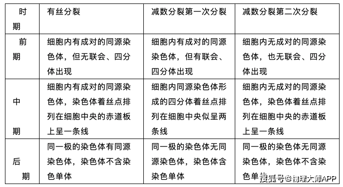 高中生物重点来了减数分裂知识点归纳考生必看