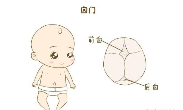 对于新生儿宝宝来说,心门有两个是前囟门和后囟门,有一些老人认为心门