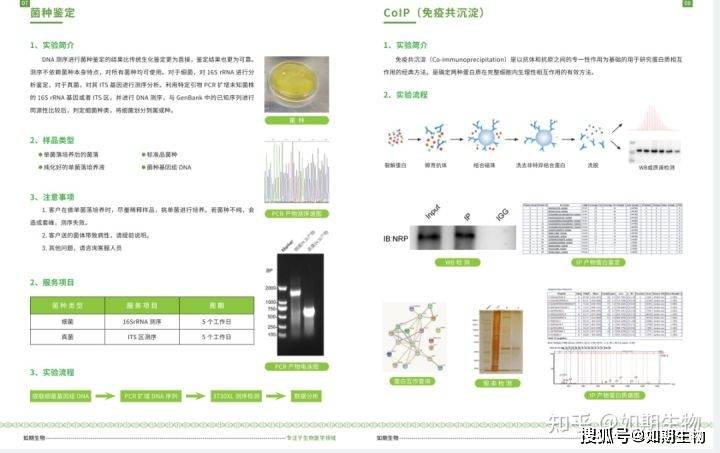 血浆>50ul4细菌绿豆大小5培养上清>10ml6植物>1g五,常见样品类型4