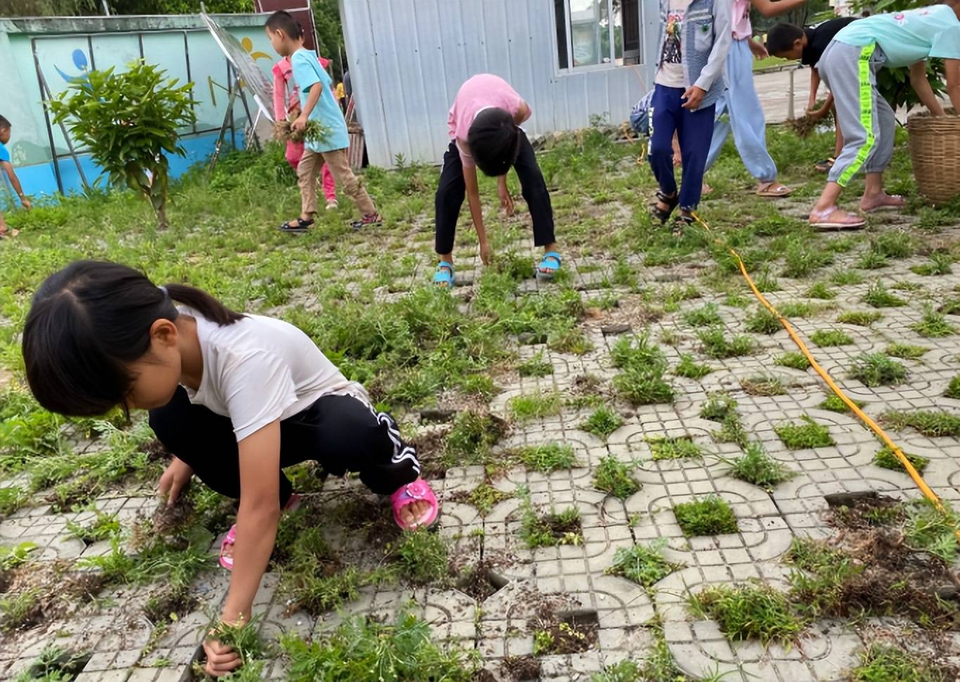 中小学生要学习＂煮饭＂？劳动课即将回归,部分家长偷着乐