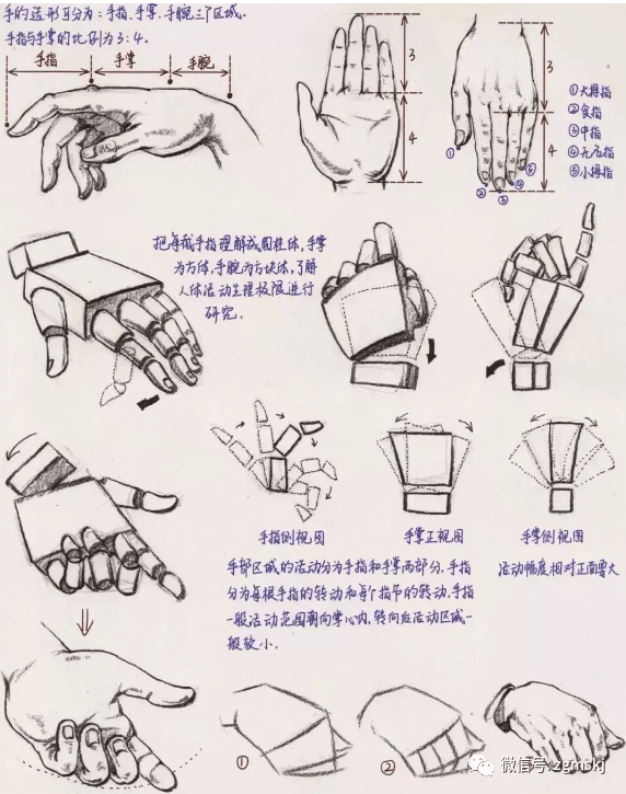 速写干货提拿写手部形态动作解析整合大量练习素材