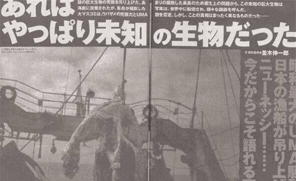 日本渔船捕获一只海怪,却被船长丢回大海,专家:我们扔掉了国宝_瑞洋