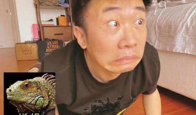 模仿蜥蜴吐舌头,虽然这个视频逗笑不少人,杨迪成为别人的快乐源泉,但