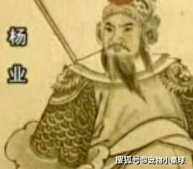 他是第一代杨家将,杨业早年并不是宋朝将领,当时他是北汉政权的将军