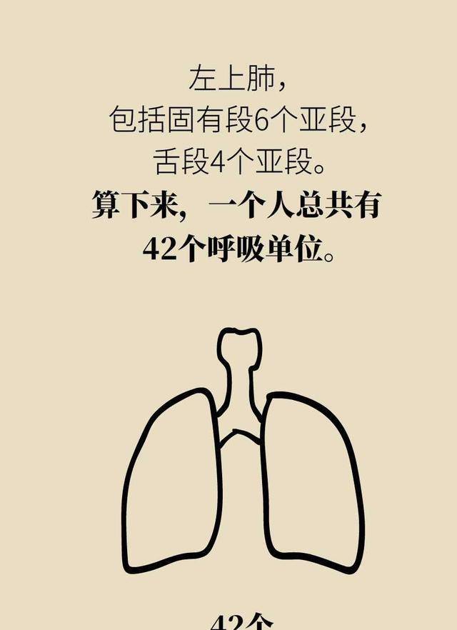 原创若切掉一个肺叶肺功能是不是就不行了会影响日常生活吗