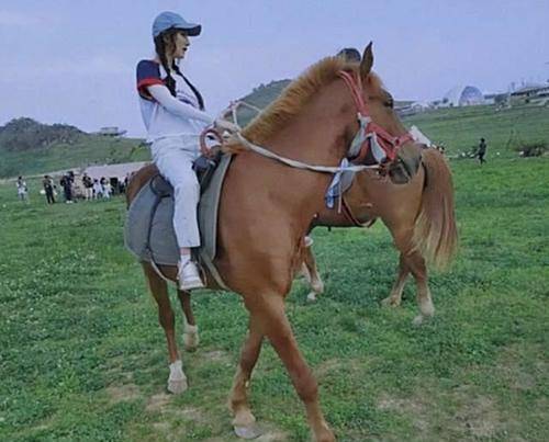 骑马的杨幂看起来比骑电瓶车容易多了.