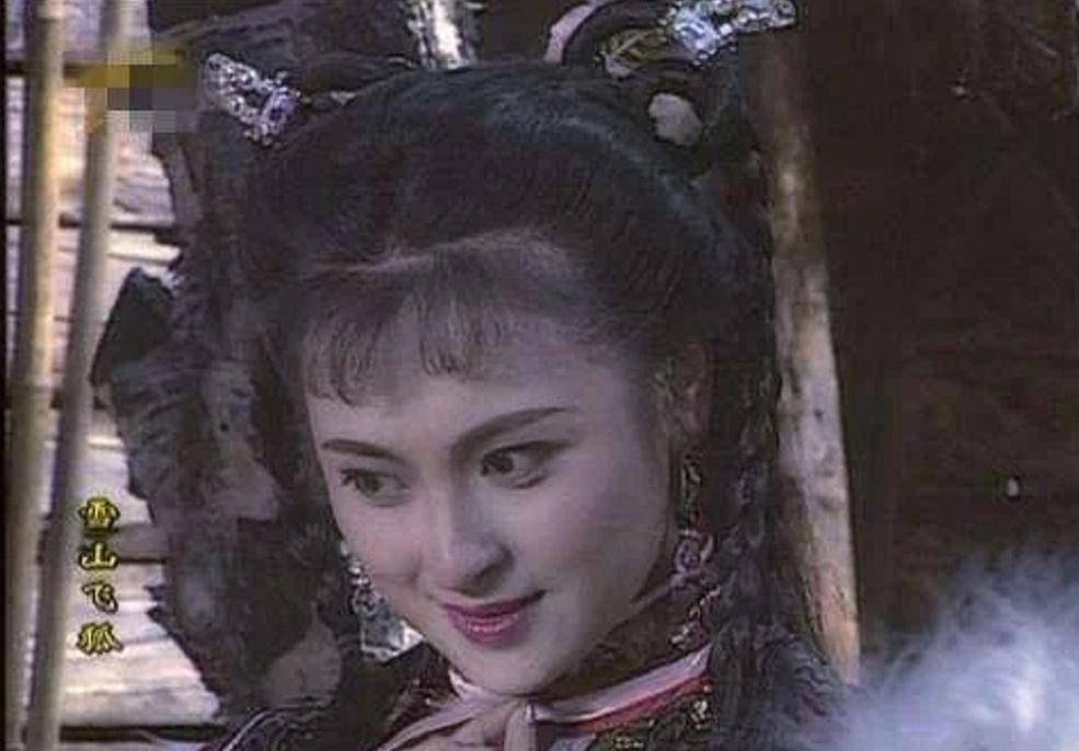 在90年代,王璐瑶演出过多部金庸武侠剧,包括《雪山飞狐》,《天龙八部