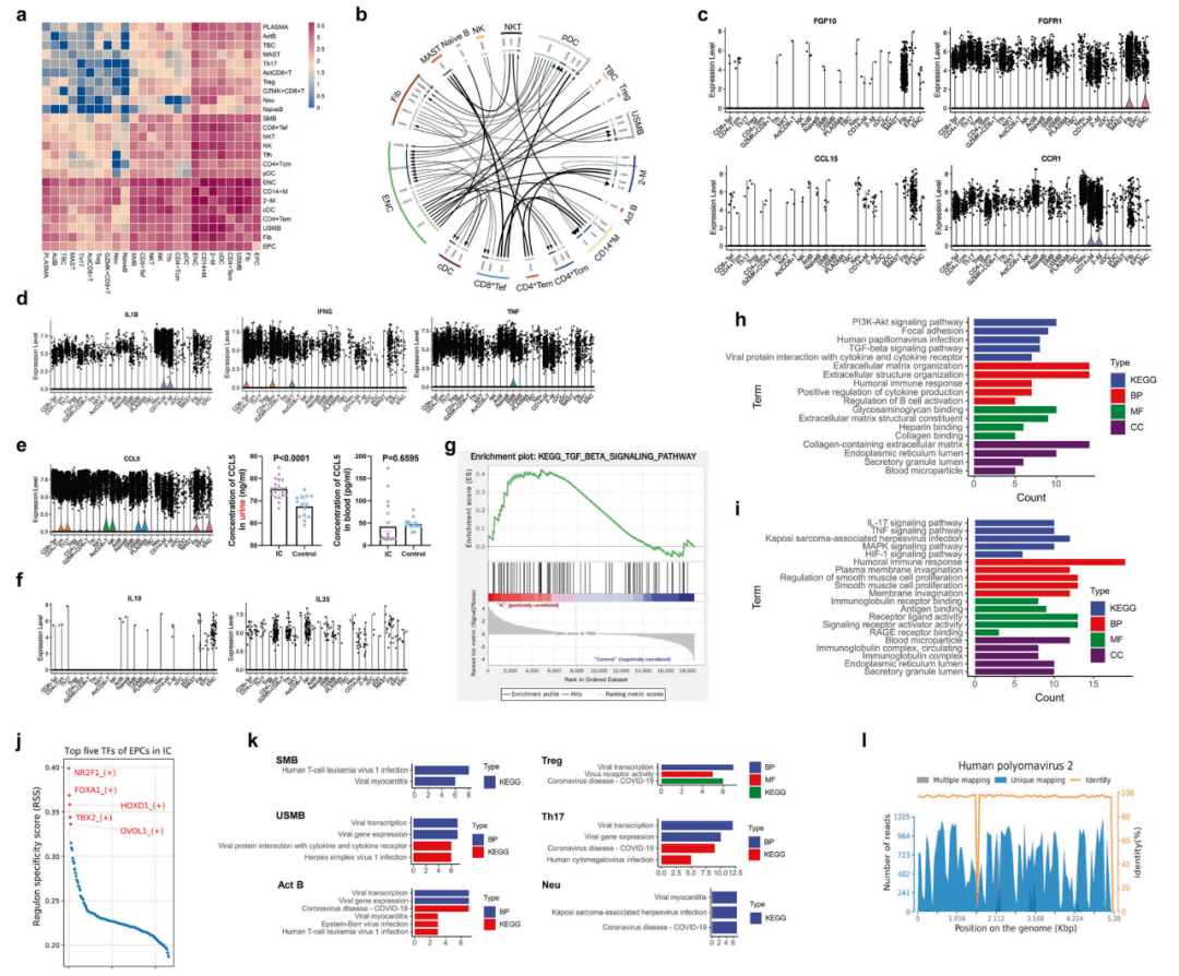 图5 ic 膀胱中的免疫互作网络6,st 和 scrna-seq 的 mia 分析揭示 ic