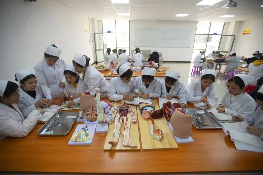 这些高校媲美深职/番职,比本科还抢手!_院校_华为_实训室