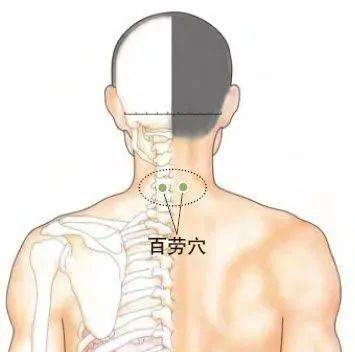 百劳穴:咳嗽哮喘百老止5功效:镇惊安神,疏风通络.