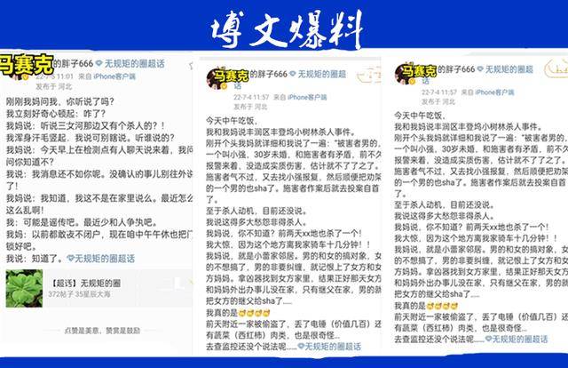 不过,小树林案子的经过,胖子666在博文中讲述后,七月五日,他又在博文