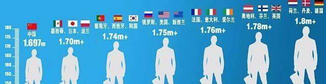 荷兰人在过去的170年长高了20厘米,经济水平决定国民人均身高_中国人