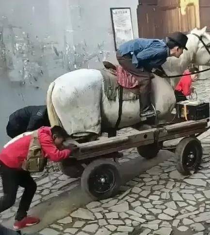原创明星假骑马的18般舞艺骑摩托车的最搞笑骑人实在有点可恶
