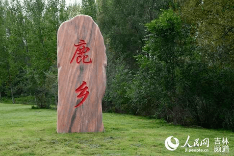 这种动物全身都是宝,两百多年前就养在清朝皇家猎场_鹿乡镇_梅花鹿