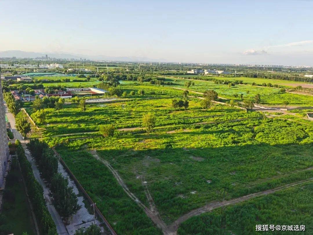 奶西村_户型图_规划