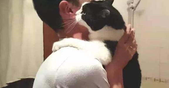 听说要洗澡,奶牛猫搂着男主的脖子撒娇求饶,却没想到信错了人!