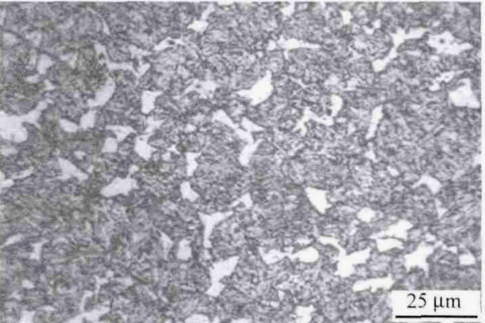 其中的白色块状组织即先共析铁素体,其余是回火索氏体