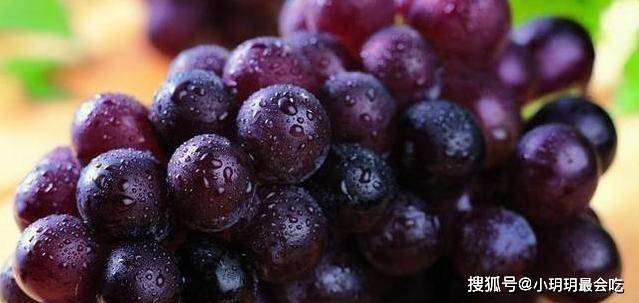原创
  采摘葡萄的季节快要来了，自己做葡萄酒该怎么做？ 第3张