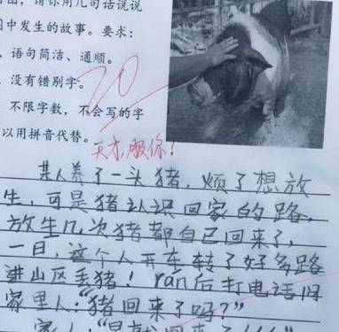 小学生奇葩作文，老师看完哭笑不得：孩子，你的理想是认真的吗？  小学作文 第3张