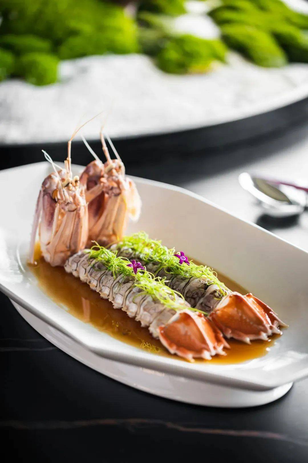 ��ħ��Ħ������� 2022 BEST 50���ذ�������