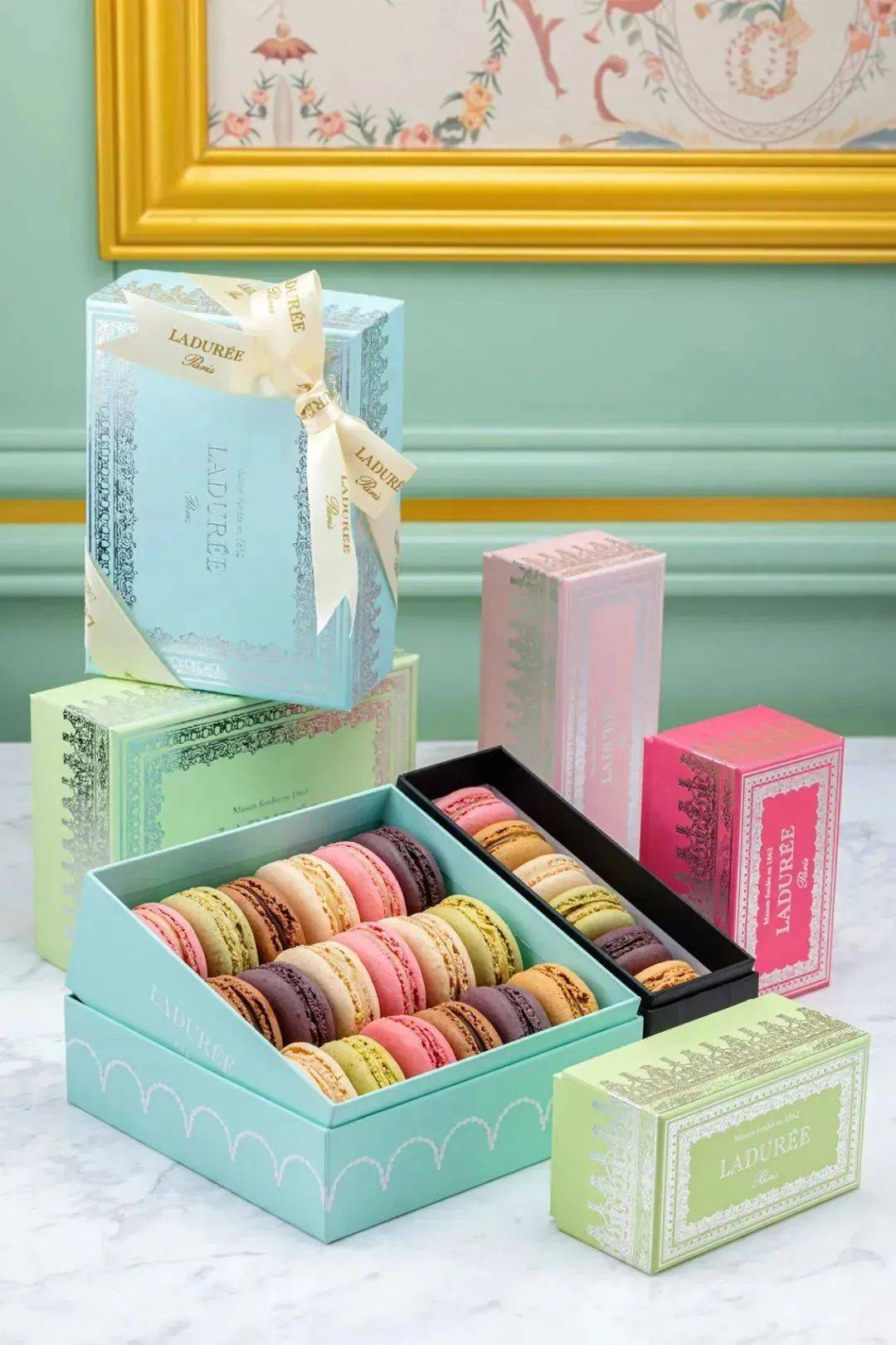 ��ħ��Ħ������� 2022 BEST 50���ذ�������