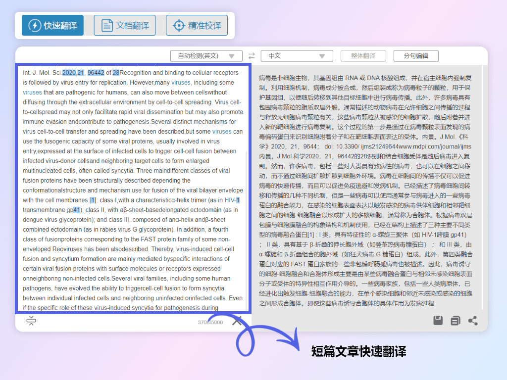 生物医学科研遭遇语言障碍？MedPeer智能翻译帮你