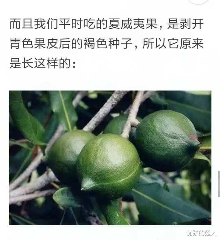 清点那些有趣的冷常识