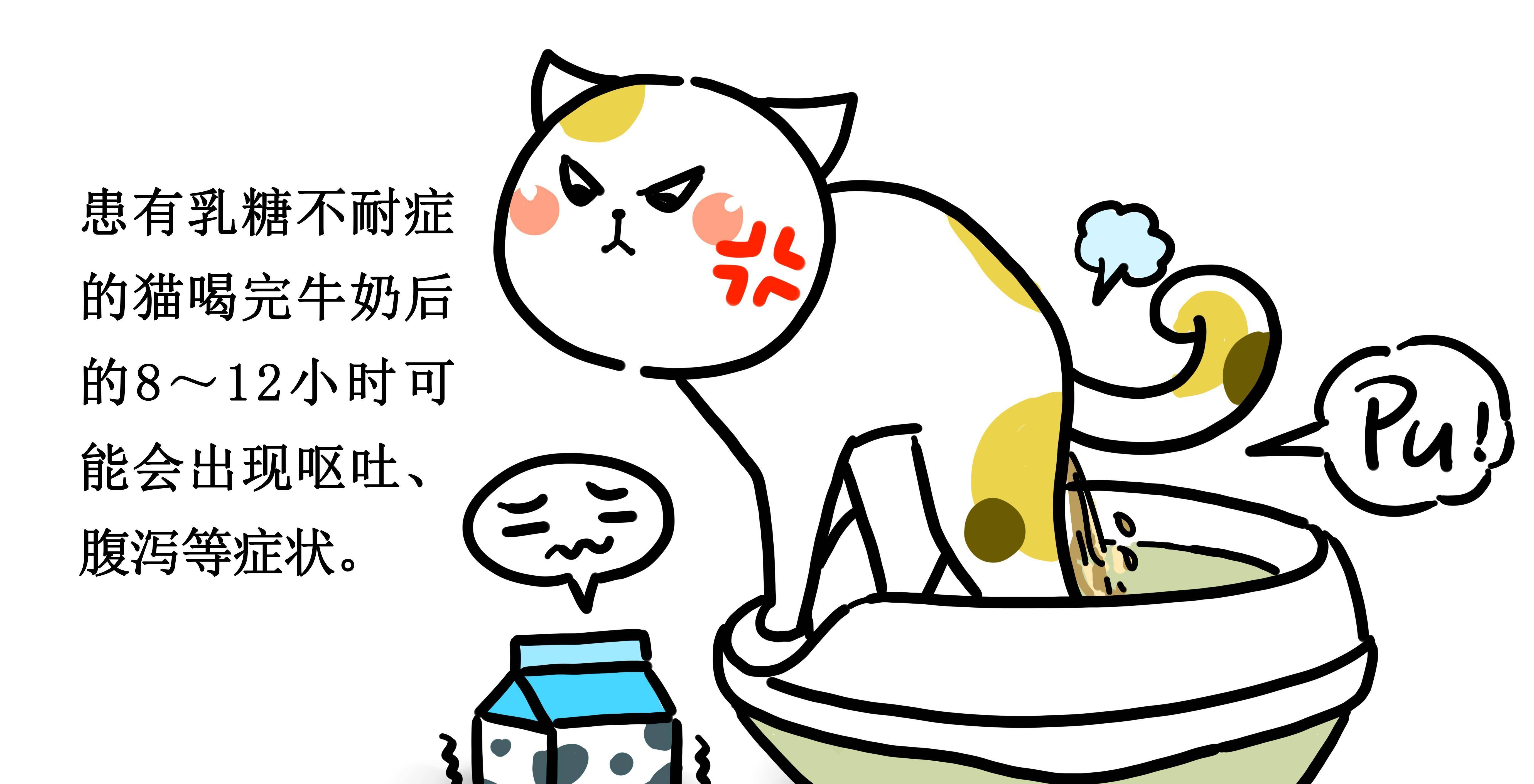 猫喝牛奶好吗？它对猫来说是安康的食物吗？哪款牛奶喝得更安心？